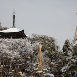 雪の五重塔１