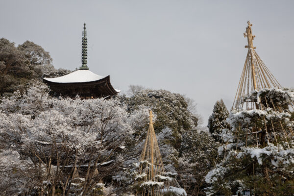 雪の五重塔１