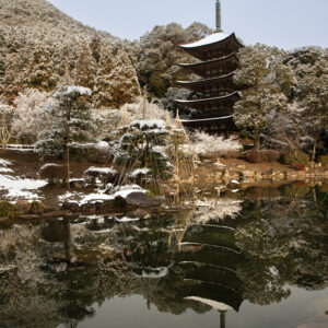 国宝五重塔　雪景色